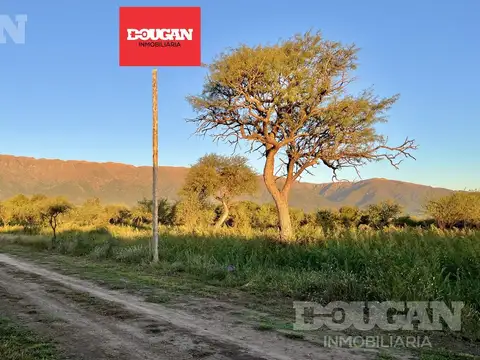 Terreno en Venta en Carpinteria, Junín