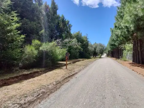 Terreno en Venta 52  mts Fondo