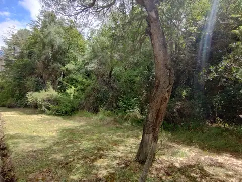 Terreno en Venta de 2825,0 m2