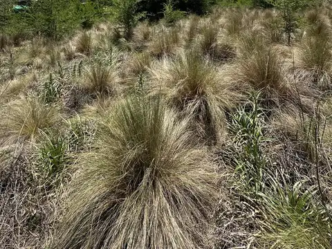 Terreno en Venta 45  mts Fondo