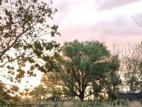 Quinta en Venta de 2 dormitorios