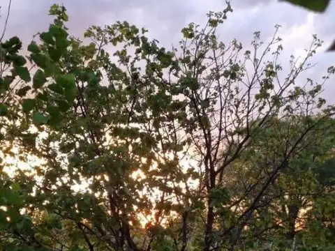 Quinta en Venta en San Rafael, USD 550.000