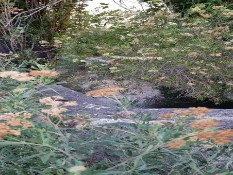 Mariano Moreno y Segovia