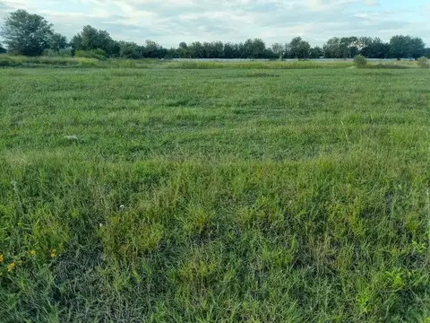 Terreno en Venta de 250,0 m2