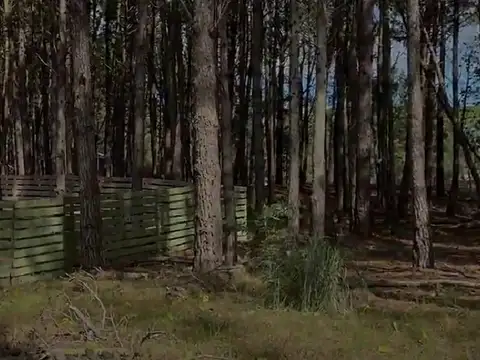 Senderos III Lote 300