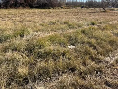 Terreno en Venta en Ingeniero Huergo, $ 5.000.000