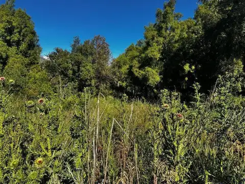 Excelente Lote en El Redil, Lago Moreno Este, con vista a los Principales Cerros