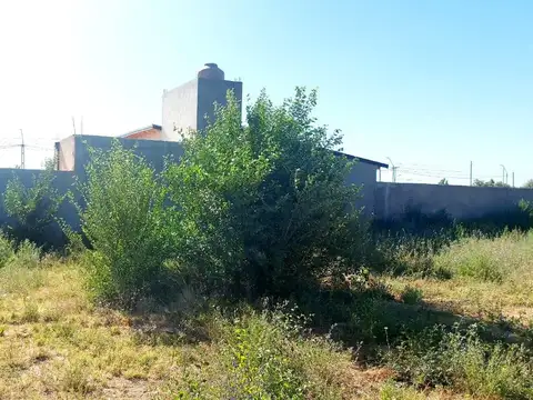 Terreno en Venta de 298,0 m2