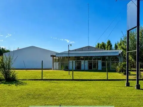 Se venden 2 Naves/Galpones Industriales Sobre Ruta Provincial N.º 42, Gowland.