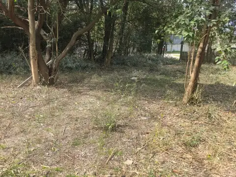 Terreno en Venta de 398,0 m2