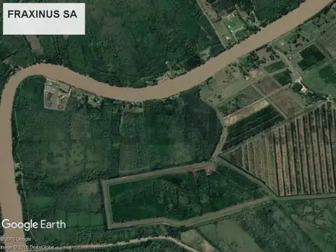 Venta 449 Hectáreas – Paraná Miní - Delta de San Fernando