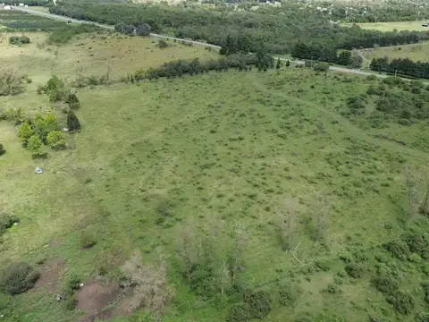 EXCEPCIONAL LOTE 61 HA AL LADO VIÑEDOS MOLVENTO