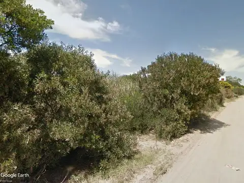 Avutarda e/ Roble y Paraiso