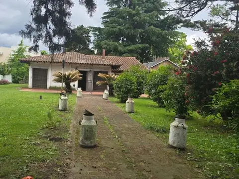 ARAUCARIAS 100