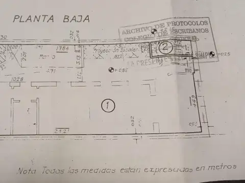 Junín 300