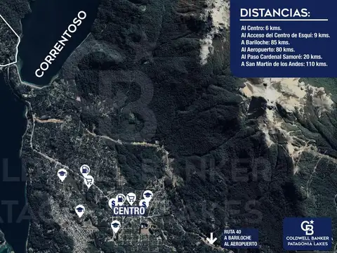 Las gaviotas  al 200