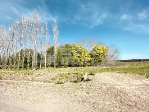 Ruta Provincial 41 Km 22 Estancia Benquerencia