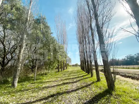 Ruta Provincial 41 Km 22 Estancia Benquerencia