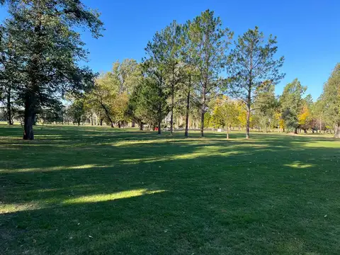 VENTA CAMPO 10 HECTARIAS SOBRE RUTA NAC. 8 KM 79