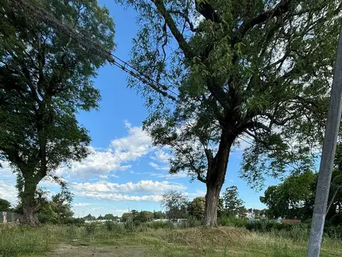 Camino Del Apero 1900