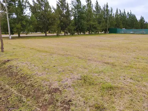 Terreno en Venta en Campos De Roca, USD 19.000