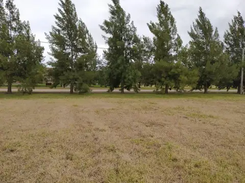 Campos de Roca II RUTA 2 km65, Coronel Brandsen, Buenos Aires, Argentina