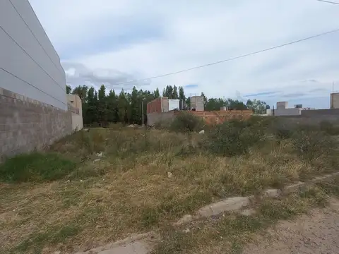 EL FARO 2 100