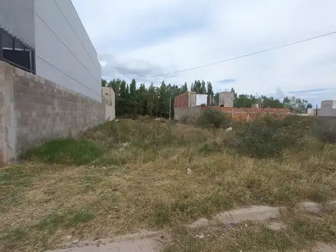 EL FARO 2 100