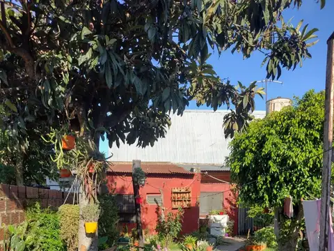 Fray Luis Beltrán 1800