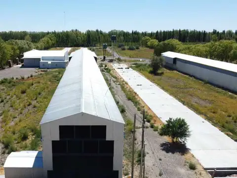 Galpon en Alquiler 16 años