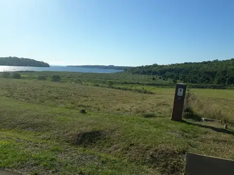 Terreno en Venta 50  mts Fondo