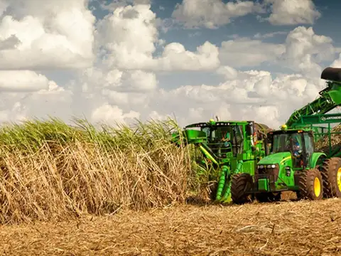 Campo en Venta Agrícola
