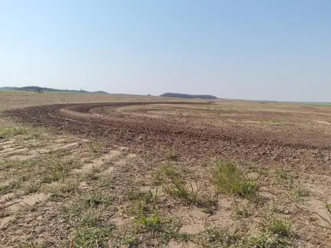 Campo en Venta Agrícola