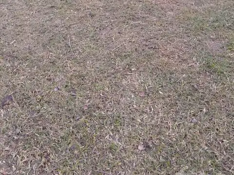 Terreno en Venta de 535,0 m2