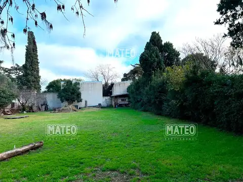 2 Lotes en Venta. Se Venden Juntos o Separados.