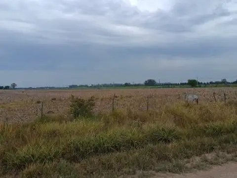 CAMPO DE 15,3 HA AGRÍCOLA GANADERA