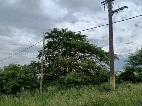 CAMPO DE 15,3 HA AGRÍCOLA GANADERA