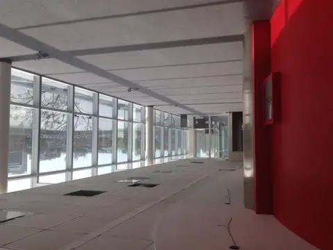 Olga Cossettini 1500