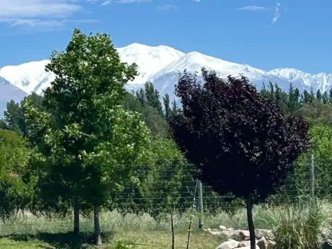 Terreno en Venta de 750,0 m2