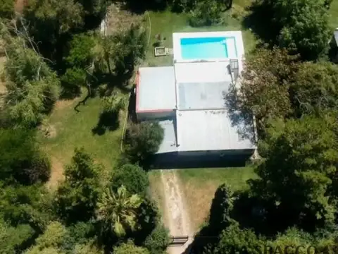 Jacaranda, Parque Jularo.