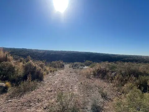 Ruta Panamericana