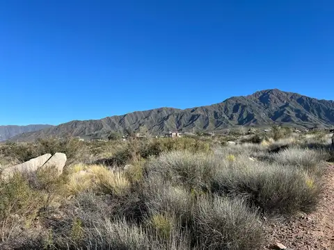 Terreno en Venta de 2000,0 m2