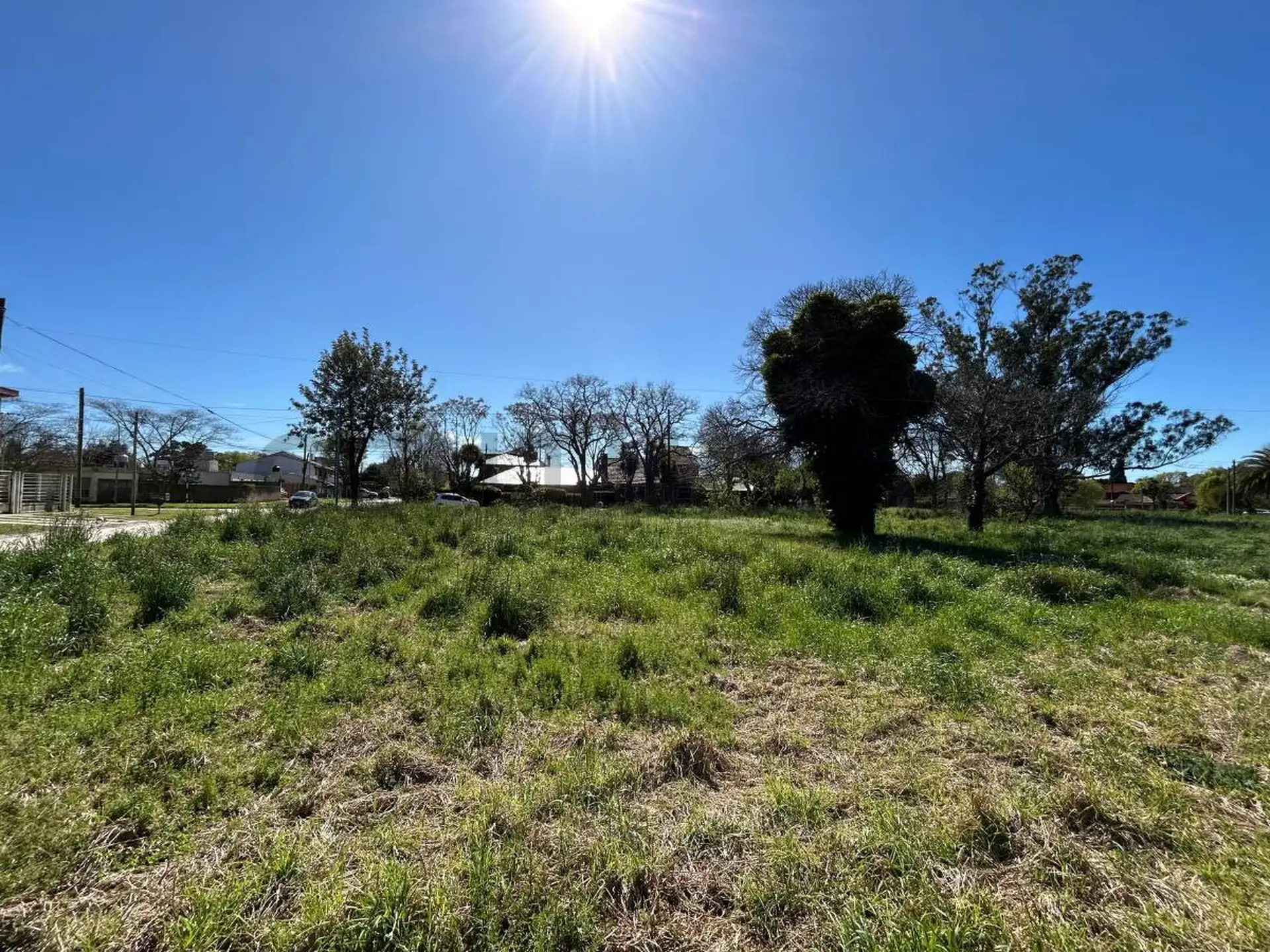 Gran lote en esquina – Los Pinares - 1850 m2