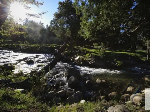 Terreno en venta - 1.300Mts2 - Lago Huechulafquen, Neuquén