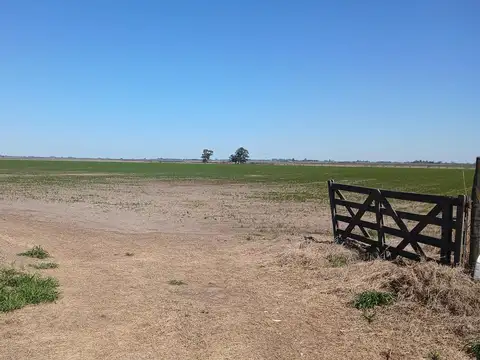 VENTA – Campo mixto de 201.5 hectáreas-  Santa Teresa, Santa Fe.