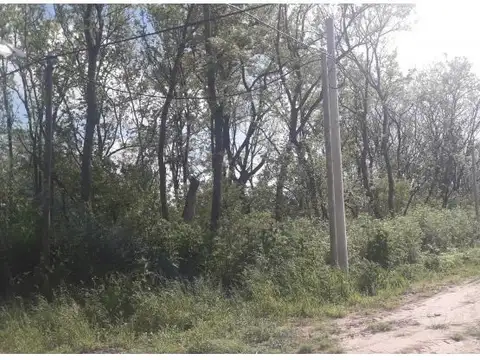 Ruta Nacional 205 km 56.5