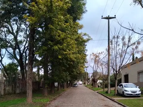 JUAN B. JUSTO 300