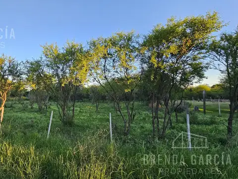 Terreno En Venta