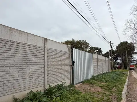 Intendente Dufau 2000