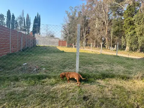 san cayetano al 900